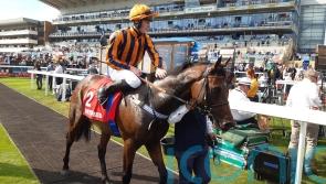 Teal plotting direct 2000 Guineas route for Dancing Gemini