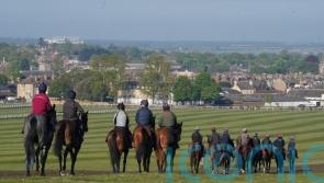 Leading Qatari trainer Hamad Al-Jehani to make Newmarket move for Wathnan