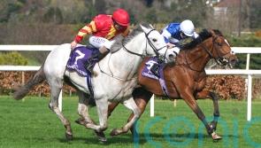 White Birch bidding to bloom in Curragh reappearance