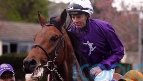 Dallas Star shocks Ballysax rivals with 50-1 strike