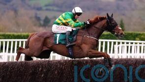 Corbetts Cross bidding to complete Cheltenham-Aintree double