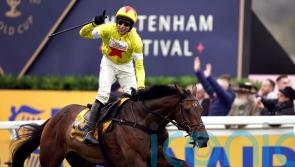 Protektorat still in prime condition for Melling tilt