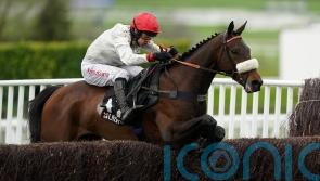 Bailey happy to take Grade One shot with Chianti Classico
