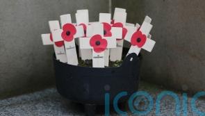 Irish government &lsquo;was reluctant&rsquo; to acknowledge border role in Kingsmill attack