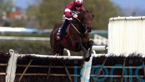 Brighterdaysahead indeed for Elliott-trained mare