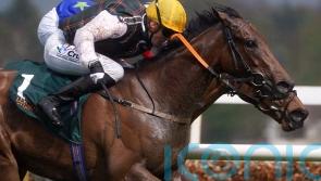 Twomey set to target Irish 1,000 Guineas with talented trio