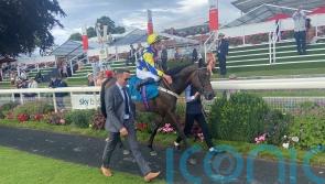 Astro King bidding to reign supreme in Earl Of Sefton