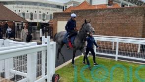 Fallen Angel looks divine in Newmarket gallop