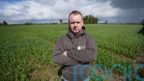 Tillage farmers worry about future after heavy rain and a &lsquo;pear-shaped&rsquo; 2023