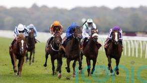 Deira Mile enhances Derby prospects with Windsor win