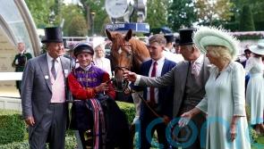 Desert Hero drops back in trip for seasonal reappearance