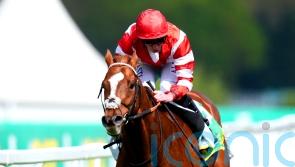 Hand Of God on target for Esher Cup success