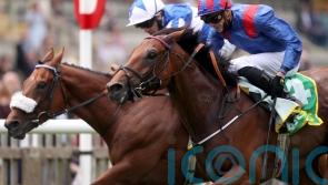 Dubai bidding for Hong Kong honours