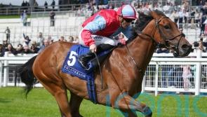 Moss Tucker takes Woodlands win for Condon