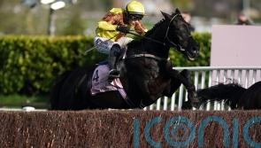 Galopin Des Champs and Fastorslow ready for Punchestown rematch