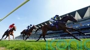 Trueshan all set for &lsquo;tough&rsquo; Sagaro return