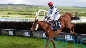 Banbridge pips Captain Guinness in Champion Chase thriller