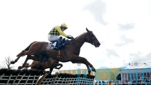 Dancing City backs up Aintree win with gritty Punchestown success