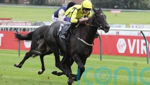 Beautiful Diamond aiming to sparkle in Palace House