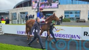 Joseph O&rsquo;Brien believes Galileo Dame can answer Cheshire Oaks question