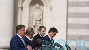 Head of Government&rsquo;s Dublin taskforce says city &lsquo;could be better&rsquo;