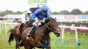 Ancient Wisdom heads Dante dozen at York on Thursday