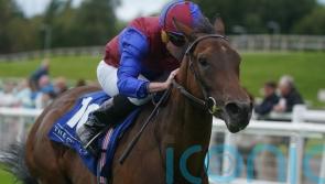 Cherry Blossom looks the part with classy Cork display