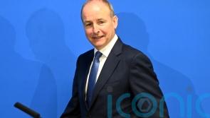 Irish deputy premier &lsquo;proud&rsquo; of role in UN vote on Palestine