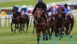 One Look primed for Classic trial at Leopardstown