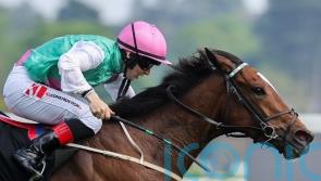 Wendla makes all for Leopardstown honours