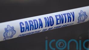 Teenage boy dies after getting into difficulty in Co Kildare canal