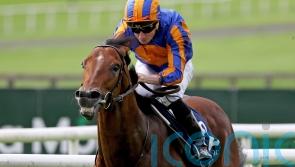 Henry Longfellow expected to bounce back at Royal Ascot