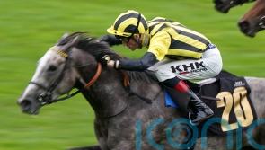 True Cyan out to continue fine stable form at York