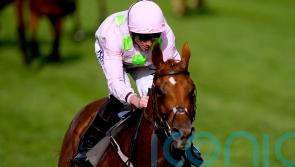 Vauban faces Yorkshire Cup test as Flat foray continues