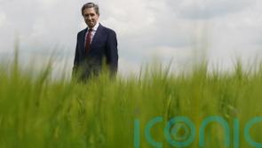 No need to reduce cattle numbers to hit carbon emissions target &ndash; Taoiseach