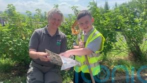 West Belfast boy discovers Northern Ireland&rsquo;s first recorded water stick insect