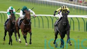 Vandeek team anticipating tough test on Haydock return