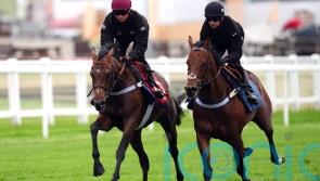 Stars align for Dancing Gemini to get Derby go-ahead