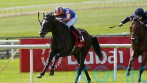 Comeback king Auguste Rodin on another recovery mission