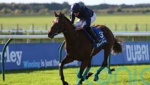 O&rsquo;Brien: City Of Troy and Ylang Ylang all set for Epsom