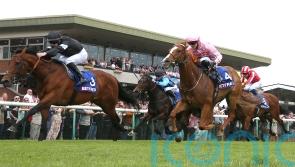 Live In The Dream team considering Haydock &lsquo;curveball&rsquo;