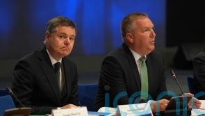 Donohoe used AI to &lsquo;double-check&rsquo; Irish debt figures ahead of speech