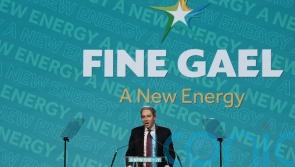 Fine Gael candidate drops out after planning allegations