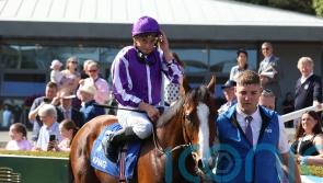 Diego Velazquez to spearhead O&rsquo;Brien&rsquo;s Chantilly challenge