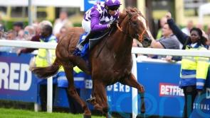 Persica sinks Portsmouth for Derby day strike