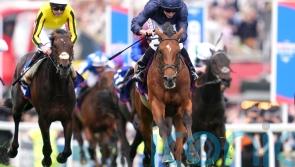 Bookmakers &lsquo;left counting the cost&rsquo; of more Derby magic from O&rsquo;Brien