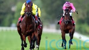 Almaqam team yet to make Royal Ascot call