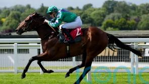 Prague could prove an incredible purchase for Cunha stable