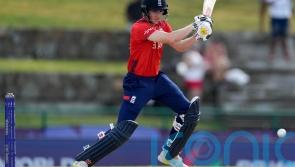Harry Brook stars as England battle to keep T20 World Cup defence alive