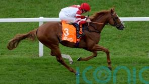 Charlton upbeat on King&rsquo;s Gambit&rsquo;s Hampton hopes